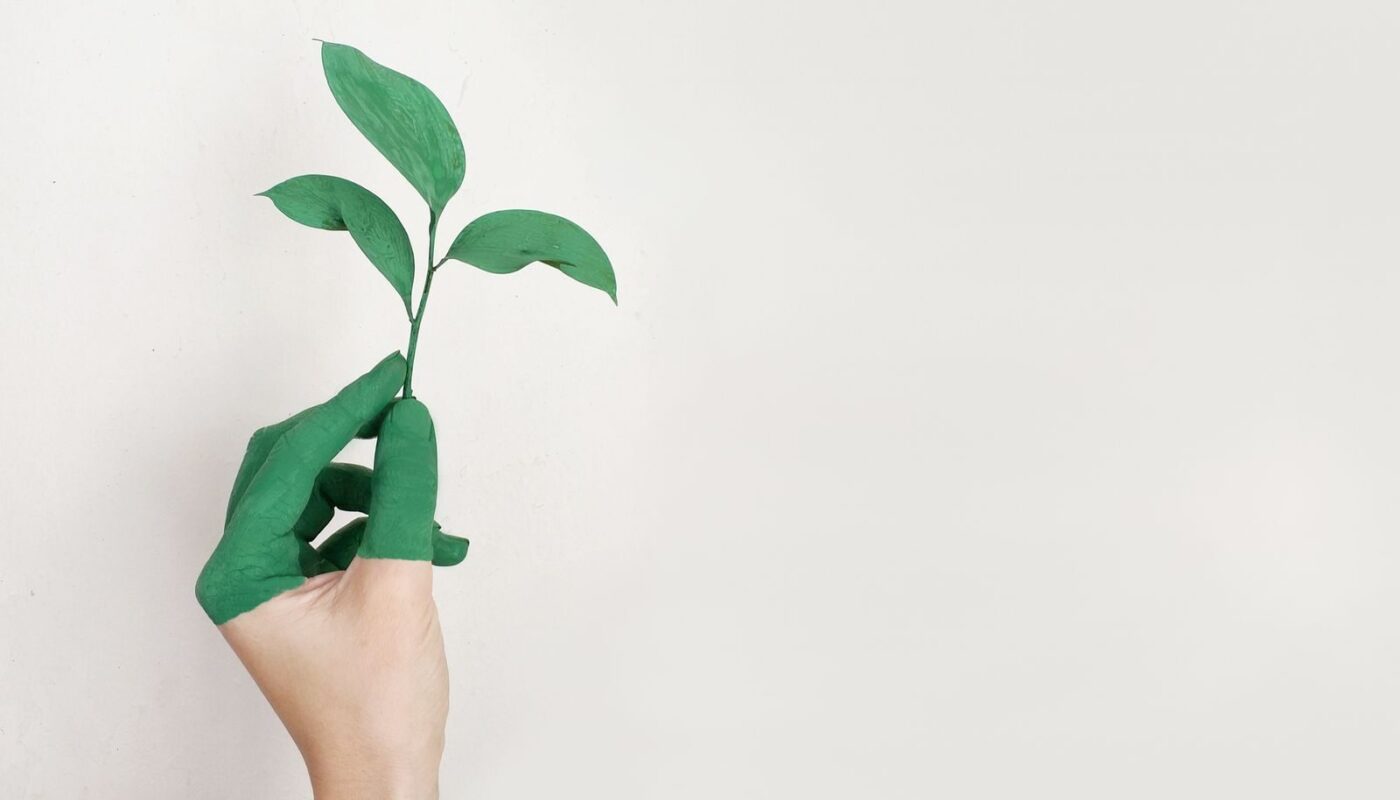 A hand painted green holds a fresh plant sprout against a light background, symbolizing growth and sustainability.