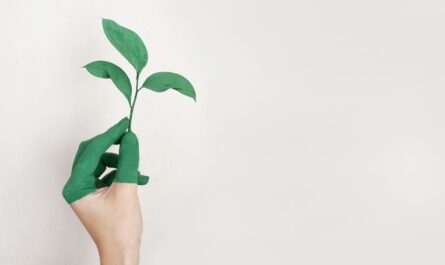 A hand painted green holds a fresh plant sprout against a light background, symbolizing growth and sustainability.